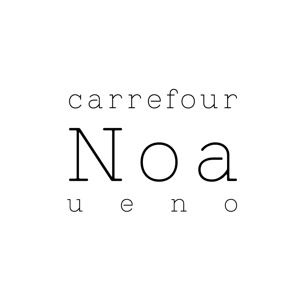 carrefour Noa 上野店