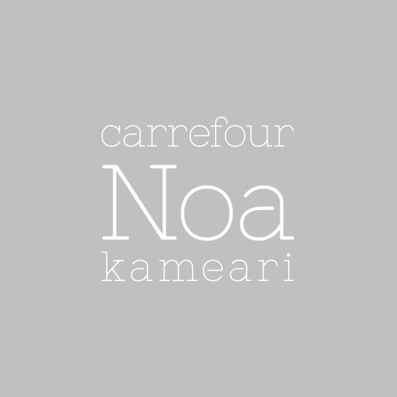 carrefour Noa 亀有店