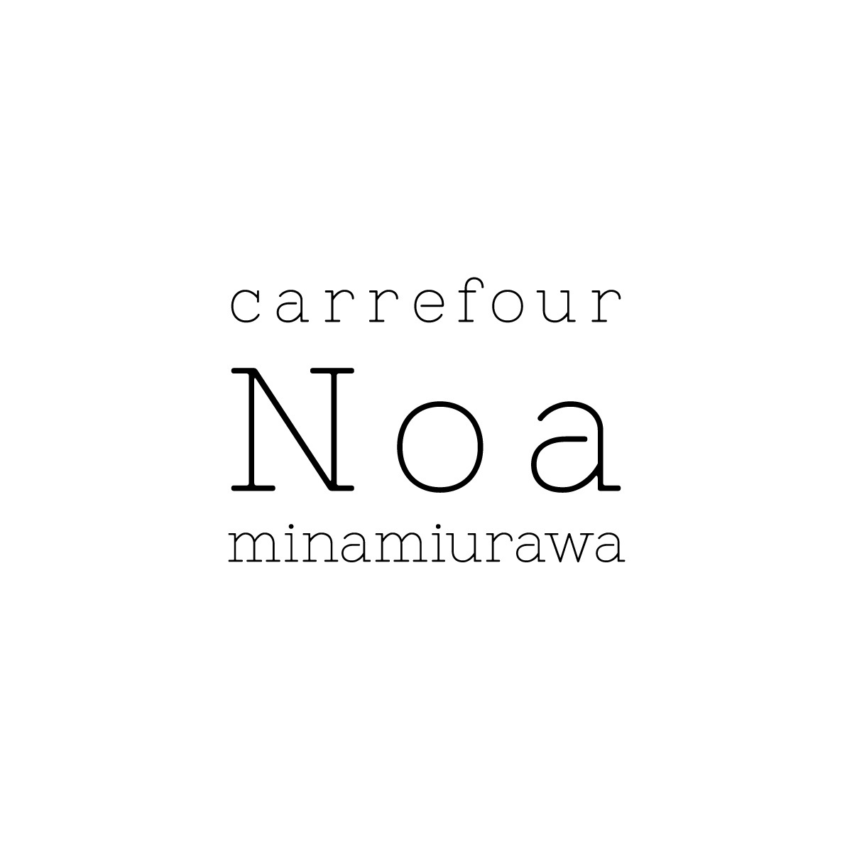 carrefour Noa 南浦和店