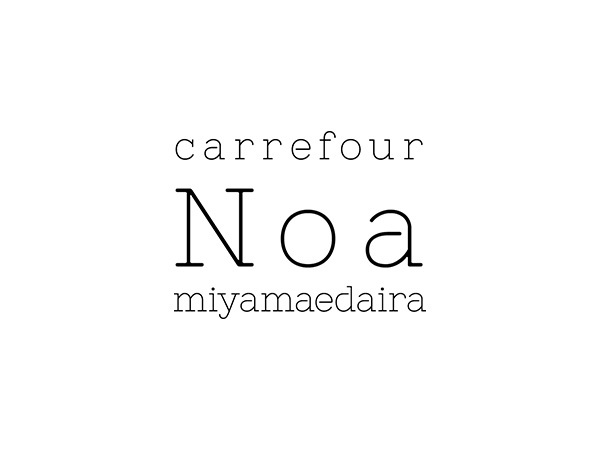 carrefour Noa 宮前平店