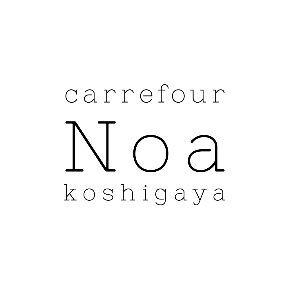carrefour Noa 越谷店