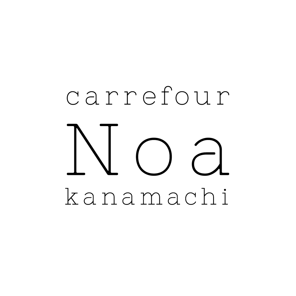 carrefour Noa 金町店